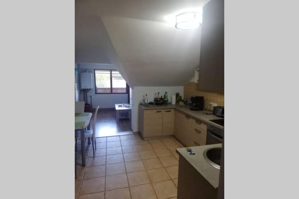 Large Vacation Apartment In Poiana Brașov Exterior foto